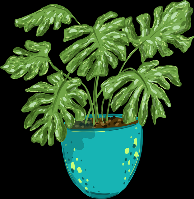 OnlyFNAS发布机制分析|更新节奏管理技巧让创作更自由