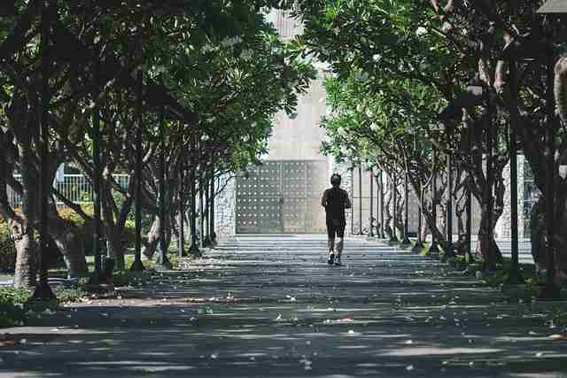 香港花宵道中完整版在线观看剧情解析